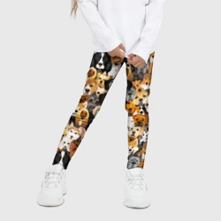 Детские леггинсы 3D Собаки разных пород - фото 2