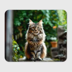 Прямоугольный коврик для мышки Мейн-кун кошка
