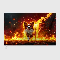 Флаг 3D Папильон в огне
