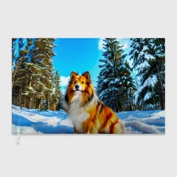 Флаг 3D Шелти зимой в лесу
