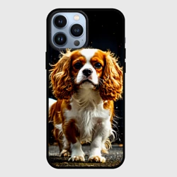 Чехол для iPhone 13 Pro Max Кавалер кинг-чарльз-спаниель на черном