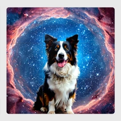 Магнитный плакат 3Х3 Бордер-колли в космосе