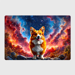 Магнитный плакат 3Х2 Корги и космическое небо