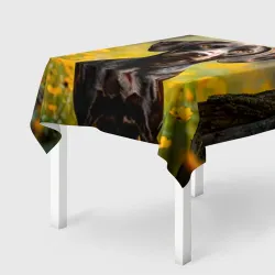 Скатерть 3D Курцхаар в лесу