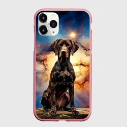 Чехол для iPhone 11 Pro матовый Курцхаар и космос