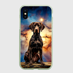 Чехол для iPhone XS Max матовый Курцхаар и космос