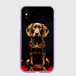 Чехол для iPhone XS Max матовый Курцхаар на черном с красным