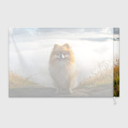 Флаг 3D Шпиц на природе - фото 2