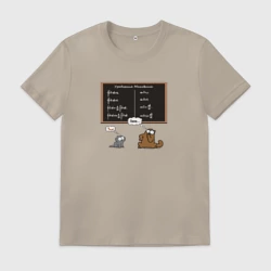 Мужская футболка хлопок Уравнения Максвелла