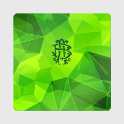 Магнит виниловый Квадрат Nickelback green poly