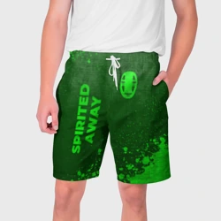 Мужские шорты 3D Spirited Away - green gradient вертикально