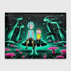 Обложка для студенческого билета Рик и Морти сидят на чёрном неоновом грибе