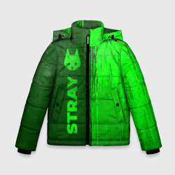 Зимняя куртка для мальчиков 3D Stray - green gradient по-вертикали