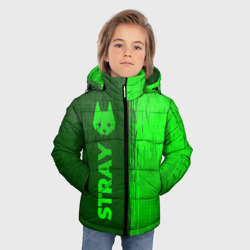 Зимняя куртка для мальчиков 3D Stray - green gradient по-вертикали - фото 2