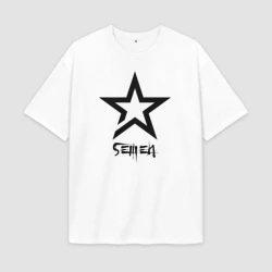 Мужская футболка Oversize хлопок premium Semen - star