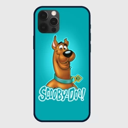 Чехол для iPhone 12 Pro Дог Скуби Ду