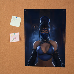 Постер Kitana Mortal Kombat - фото 2