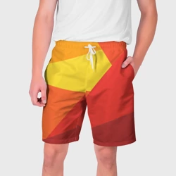 Мужские шорты 3D Яркие треугольники