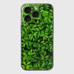 Чехол для iPhone 16 Pro Max силиконовый с защитой камеры Листва текстура