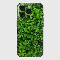 Чехол для iPhone 16 Pro силиконовый с защитой камеры Листва текстура