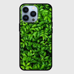 Чехол для iPhone 13 Pro Листва текстура