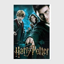 Магнитный плакат 2Х3 Дэниэл Рэдклифф - Гарри Поттер 