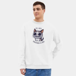 Мужской свитшот oversize без начеса хлопок Нервный кот в порядке мем - фото 2