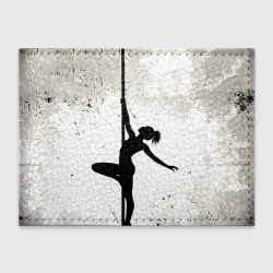 Обложка для студенческого билета Pole Dance 