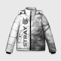 Зимняя куртка для мальчиков 3D Stray - white gradient по-вертикали