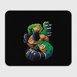 Прямоугольный коврик для мышки Battletoads trio 