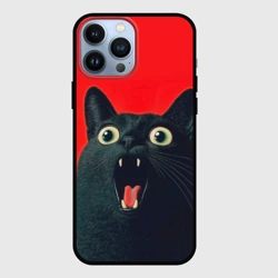 Чехол для iPhone 13 Pro Max Котик в шоке