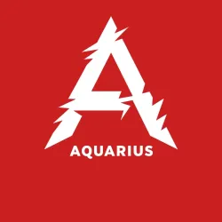 Мужской свитшот хлопок Aquarius - фото 3