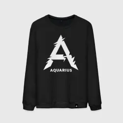Мужской свитшот хлопок Aquarius