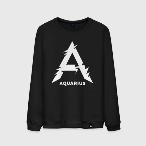 Мужской свитшот хлопок Aquarius