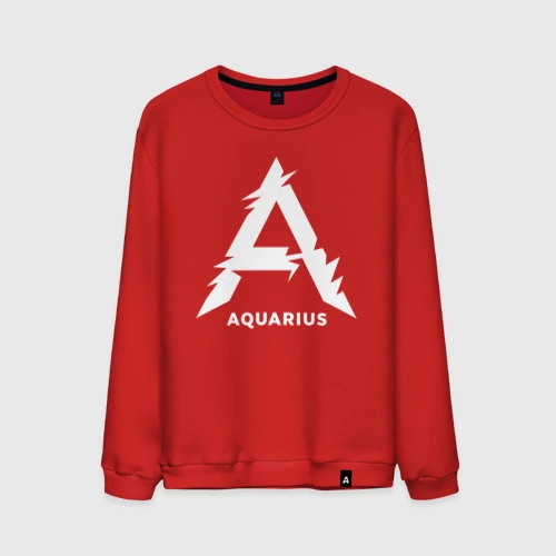 Мужской свитшот хлопок Aquarius