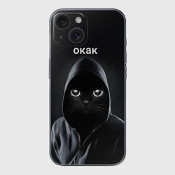 Чехол для iPhone 15 силиконовый с защитой камеры Кот окак
