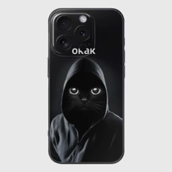 Чехол для iPhone 16 Pro силиконовый с защитой камеры Кот окак