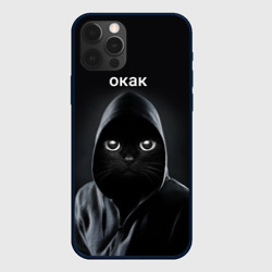 Чехол для iPhone 12 Pro Кот окак