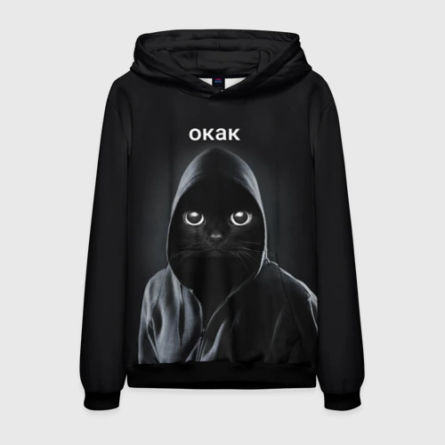 Мужская толстовка 3D Кот окак