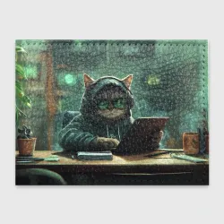 Обложка для студенческого билета Hacker cat