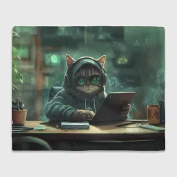 Плед 3D Hacker cat