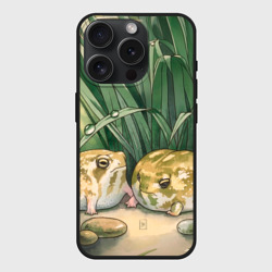 Чехол силиконовый для Apple iPhone 15 Pro матовый Две лягушки