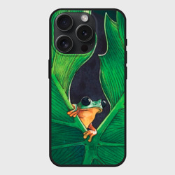 Чехол силиконовый для Apple iPhone 15 Pro матовый Лягушка на листе акварель