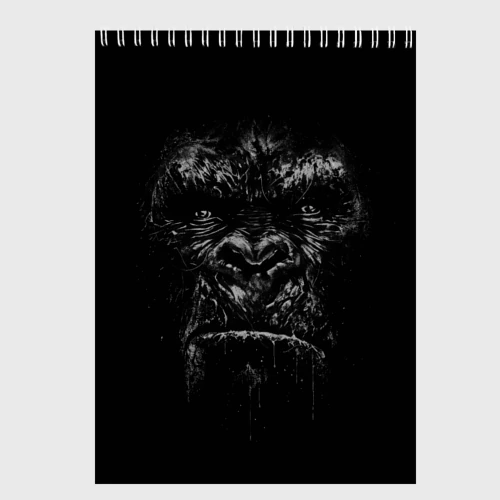Скетчбук Gorilla face in the dark