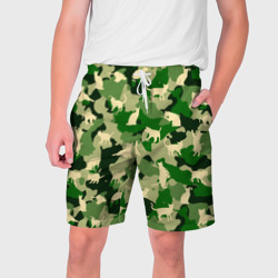 Мужские шорты 3D Кошачий камуфляж цветной