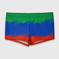 Мужские купальные плавки 3D Дагестанские цвета