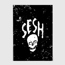Постер Sesh