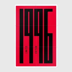 Магнитный плакат 2Х3 Год рождения - 1996, limited edition