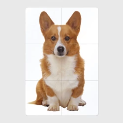 Магнитный плакат 2Х3 Взрослая корги