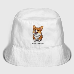 Детская панама хлопок Корги с вопросом-у тебя есть денежки